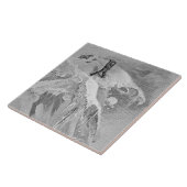 De Top van de Moming Pass in 1864, van 'The A Tegeltje (Zijkant)