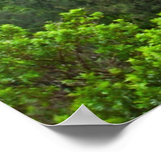 De top van Pali Lookout poster op Oahu (Hoek)