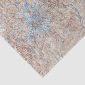  de Topografische Kaart van de Opdrachtstraal van  Tissuepapier (Detail)