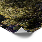 De toren van de duivel poster (Hoek)