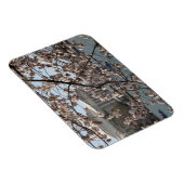 De torenbloesem in Bloom in Washington DC Magneet (Rechterzijde)