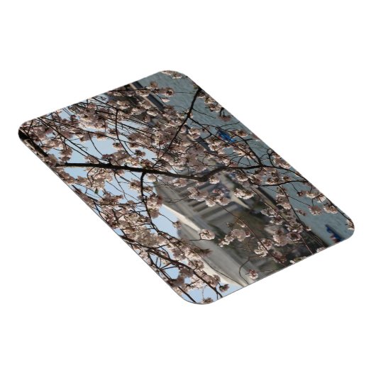 De torenbloesem in Bloom in Washington DC Magneet (Rechterzijde)