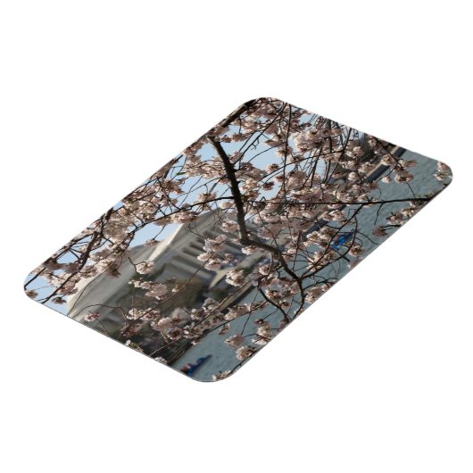 De torenbloesem in Bloom in Washington DC Magneet (Linkerzijde)