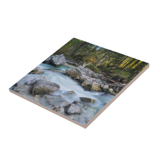 De torrent Ramsauer Ache Tegeltje (Zijkant)