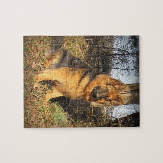 De totale Duitse herder Legpuzzel (Horizontaal)