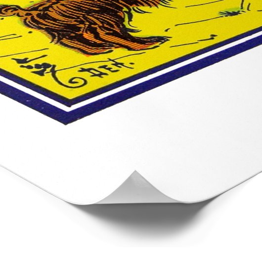 De Tovenaar van Oz: Je zou Ashamed moeten zijn! Poster (Hoek)