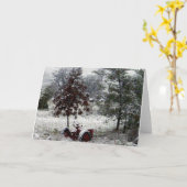 De Tractor van de sneeuw Kaart (Gele Bloem)