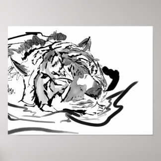 De Tranquil Tiger Poster
