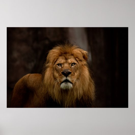 De trap poster (Voorkant)