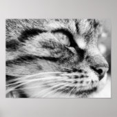 De trap poster (Voorkant)