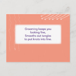 De Treasure Hunt Game - Cluj #2 - Haarborstel Briefkaart