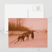 De trein briefkaart (Voorkant / Achterkant)