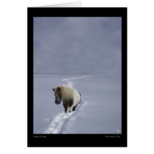 De treinkaart van de Pony (Voorkant)