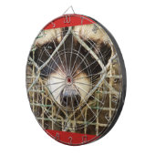 de treurige blik van een wasbeer achter het kooi d dartbord (Voorkant Rechts)