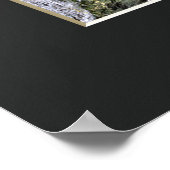 De treurwilg kersenboom: Ōno-ji tempel Poster (Hoek)