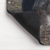 De Tri-color Collie Muismat (Hoek)