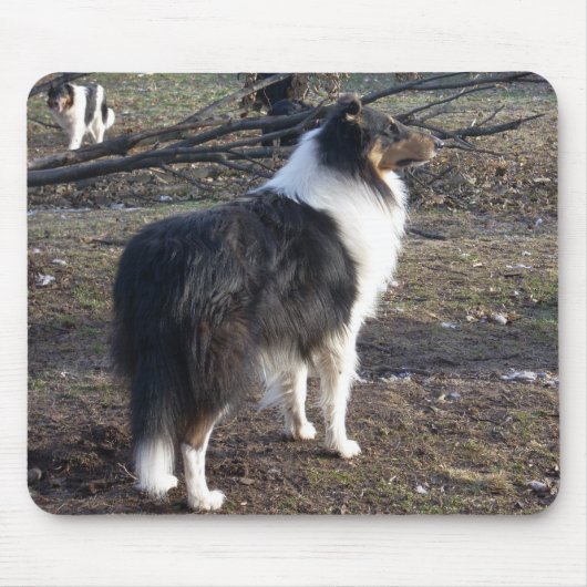 De Tri-color Collie Muismat (Voorkant)