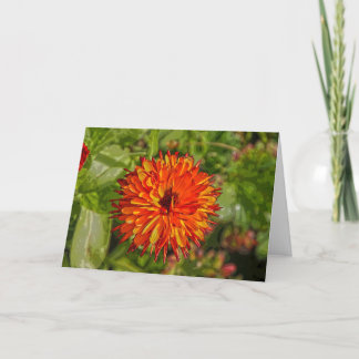 De trillende Kaart van de Verjaardag