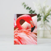 De trillende Roze Flamingo van de Veer Briefkaart (Staand voorkant)