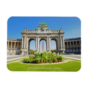 De Triomfboog in Cinquantennaire Park in Brussel Magneet