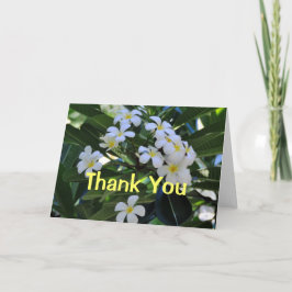 De tropische Bloemen Plumeria danken u kaarden Bedankkaart