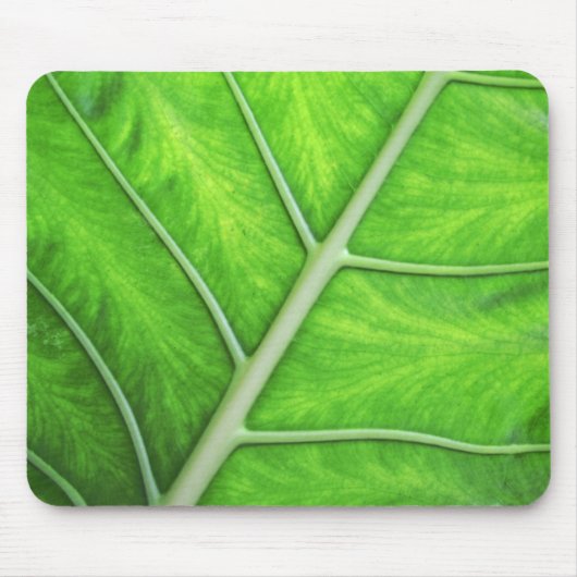 De tropische Groene Foto Mousepad van de Natuur Muismat (Voorkant)