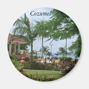 De Tropische Palm van Cozumel Magneet