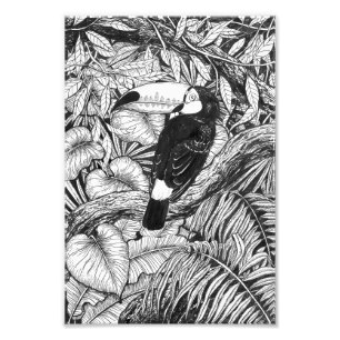 De tropische tuin van de toekan foto afdruk