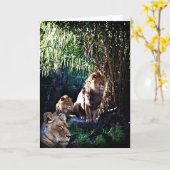 De trots, wenskaart kaart (Gele Bloem)