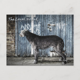 De trouwe hond briefkaart