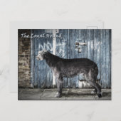 De trouwe hond briefkaart (Voorkant / Achterkant)