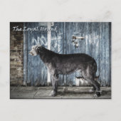 De trouwe hond briefkaart (Voorkant)