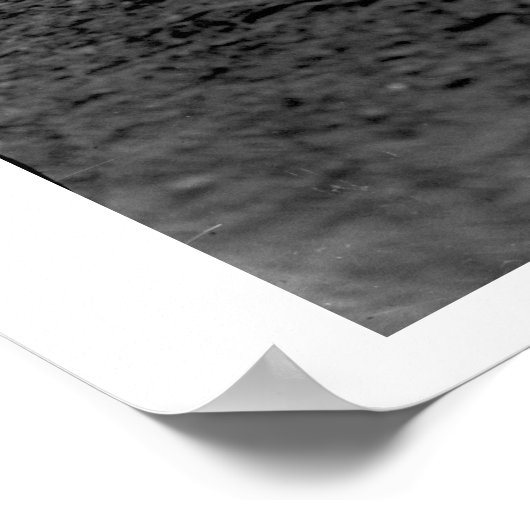 De trucs van een rodeo poster (Hoek)