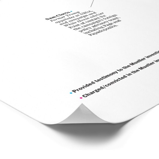 De Trump Ring Poster (Hoek)