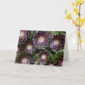 De Tuin van Aeonium Kaart (Gele Bloem)