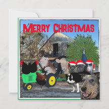 De tuin van de keuken vol cast