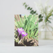 De Tuin van de Lente van de oma Briefkaart (Staand voorkant)