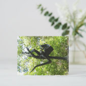 De Tuin van het Beeldhouwwerk van Umlauf, Austin Briefkaart (Staand voorkant)