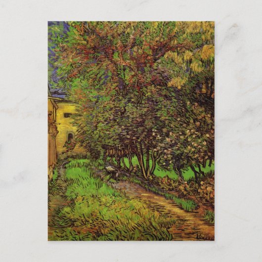 De tuin van het ziekenhuis Saint-Paul van Gogh Briefkaart (Voorkant)