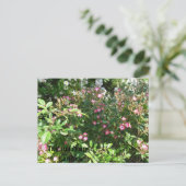 De tuin voor wilde rozen briefkaart (Staand voorkant)