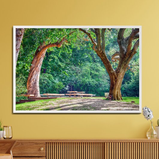 De tuinen van de Calouste Gulbenkian Foundation. Foto Afdruk