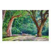 De tuinen van de Calouste Gulbenkian Foundation. Foto Afdruk (Voorkant)