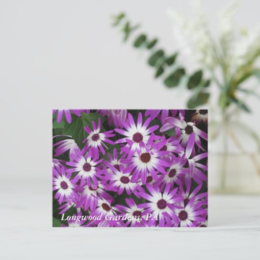 De Tuinen van Longwood, PA Briefkaart (Staand voorkant)