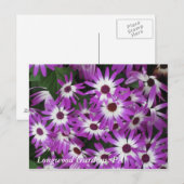 De Tuinen van Longwood, PA Briefkaart (Voorkant / Achterkant)