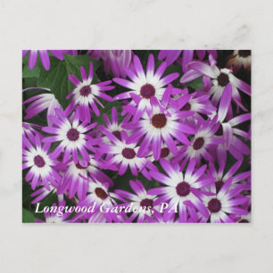 De Tuinen van Longwood, PA Briefkaart