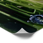 De tuinfiets poster (Hoek)