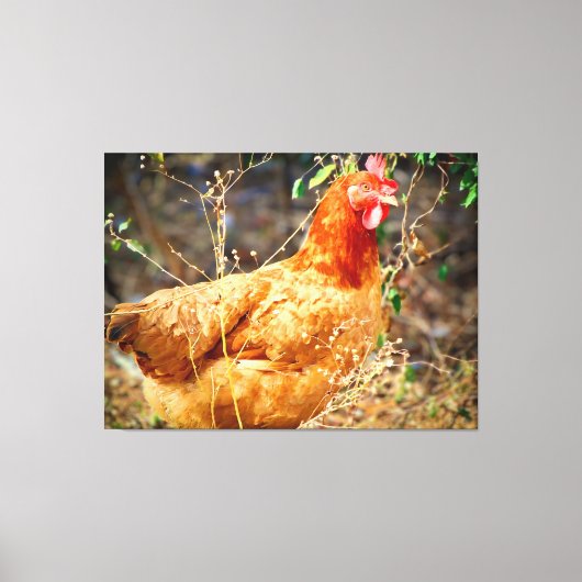 De Tuininspecteur Canvas Afdruk (Voorkant)
