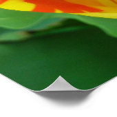 DE TULIP POSTER (Hoek)