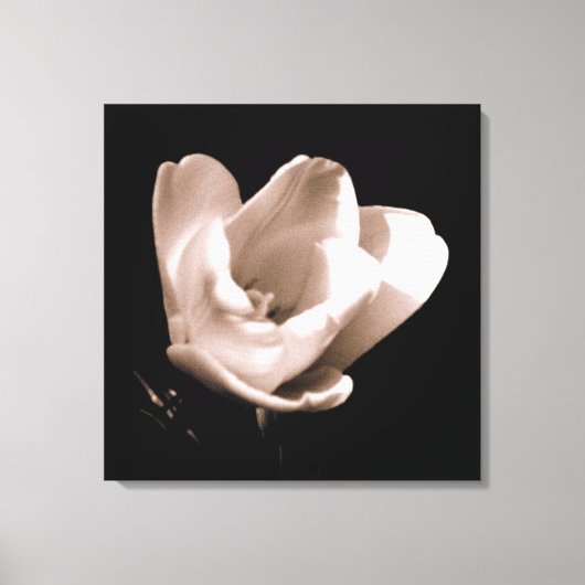 'De Tulp' Canvasprint met Wikkel Canvas Afdruk (Voorkant)