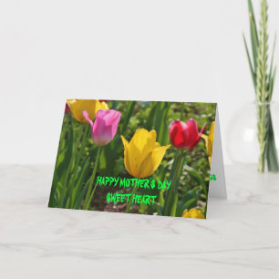 De Tulp van de Tijd van de lente Kaart